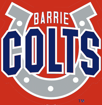 Barrie Colts 1995-pres alternate logo iron on heat transfer...